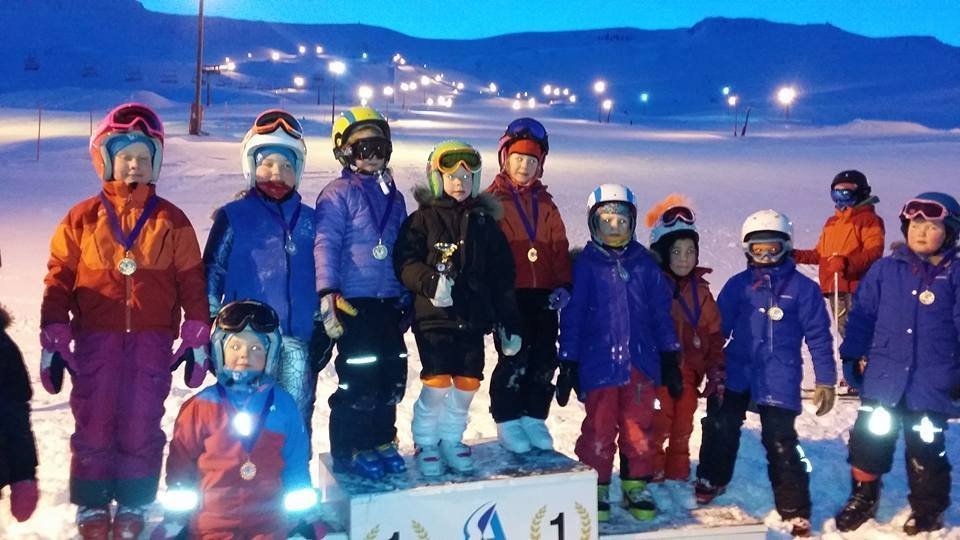 Alpagreinaþjálfarar óskast