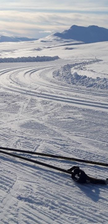 SKA auglýsir eftir þjálfara/þjálfurum í skíðagöngu