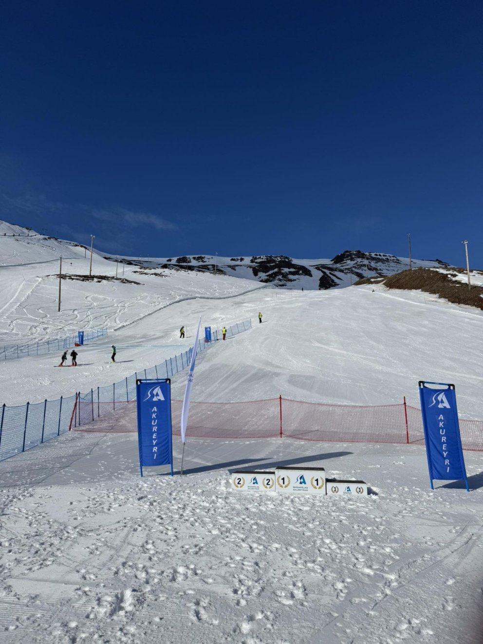 Unglingameistaramót Íslands 2025