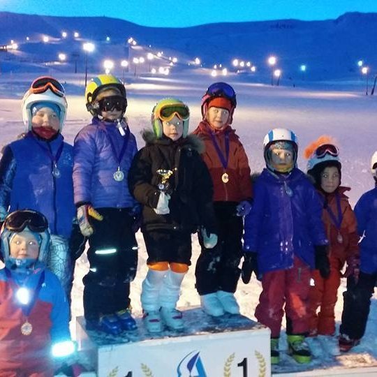 Alpagreinaþjálfarar óskast