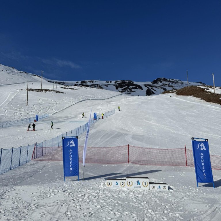 Unglingameistaramót Íslands 2025